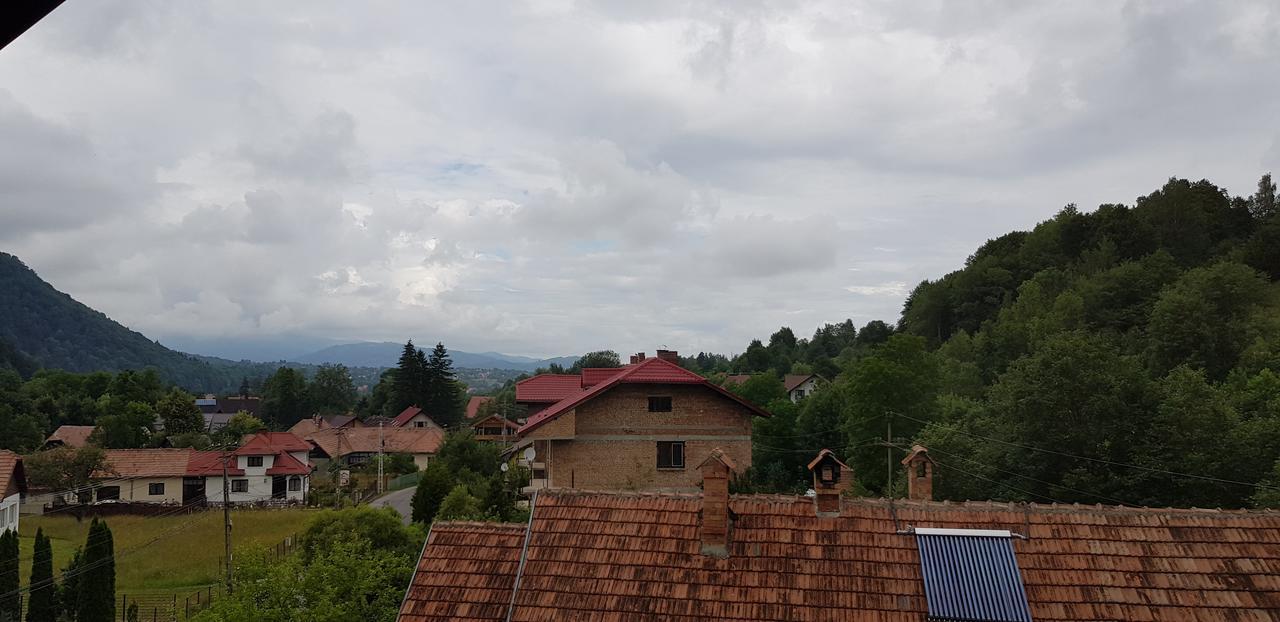 Pensiunea Casa Beatrice Bran برانْ المظهر الخارجي الصورة