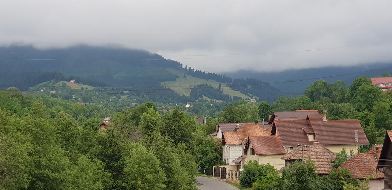 Pensiunea Casa Beatrice Bran برانْ المظهر الخارجي الصورة